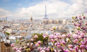 Giải mã lý do nhất định phải đến Paris vào mùa xuân?