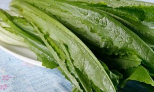 Nó được ví là “rau phượng hoàng”, canxi cao gấp 10 lần canh xương, nấu kiểu...