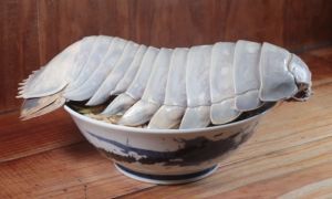 Món mì bọ biển gây chú ý ở Đài Loan