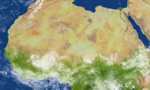 Những sự thật cực kỳ thú vị về sa mạc Sahara ít ai biết