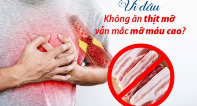 Không ăn thịt mỡ vẫn bị mỡ máu cao: Nguyên nhân do đâu?
