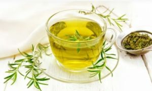 Trà hương thảo giúp giảm lượng đường trong máu