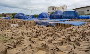 Ấn Độ cấm xuất khẩu gạo, nguy cơ giá gạo tăng toàn cầu