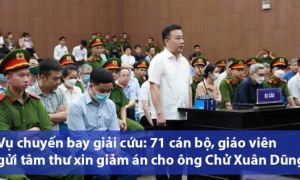 Khi cừu xác nhận sói ăn chay