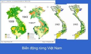 Giải pháp cho rừng nguyên sinh Mỹ Thạnh và hồ chứa nước Ka Pét