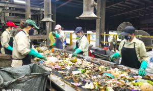 Nghề kỳ lạ, ngửi đủ thứ mùi kinh khủng nhất trên đời