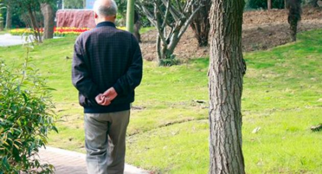 Đi bộ nhiều có thực sự giúp sống thọ? Bác sĩ nói thật: Hơn 50 tuổi kiên trì 3...