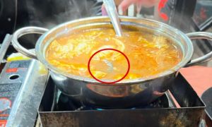 Hà Nội: Đang ăn, thực khách phát hiện có rết dài 10cm trong nồi lẩu Thái
