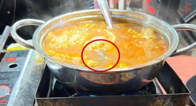 Hà Nội: Đang ăn, thực khách phát hiện có rết dài 10cm trong nồi lẩu Thái