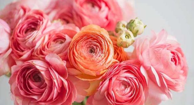 Tỏa sáng không ngừng: 3 con giáp nỗ lực hết mình, cuối năm đón Tết tưng bừng