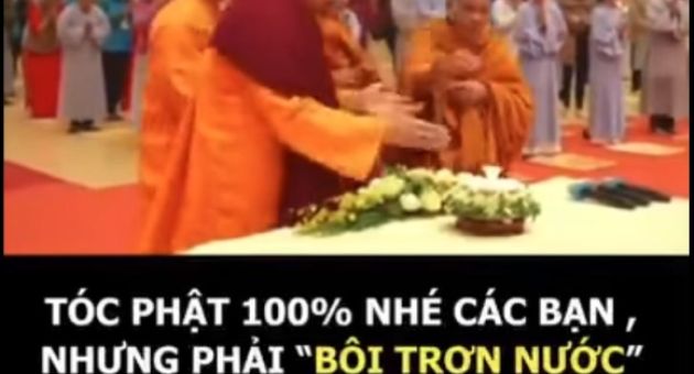 Tu tiếc ngày nay...