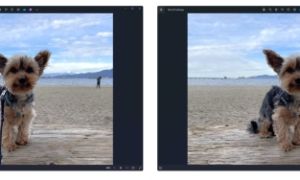 Cách xóa chi tiết không mong muốn trên ảnh nhờ công cụ AI của Microsoft