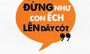 /thumb/thumb.php?src=images/stories/content/2024/03/31/1_dung-nhu-con-ech-len-day-cot---khoa-hoc-trong-thoi-dai-tin-gia.jpg&w=300&h=180&zc=1&q=80&a=c