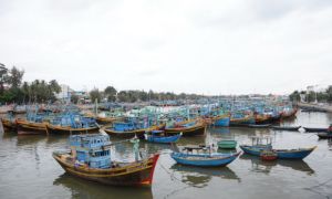 Vụ xin khai thác 3 tấn vàng ở Bình Thuận: Không có cơ sở xem xét