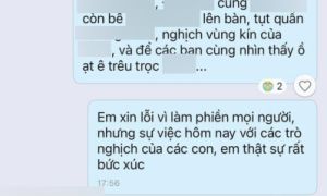 Thêm vụ việc khiến các bậc phụ huynh đọc xong phải bức xúc: Mẹ bất lực vì con...