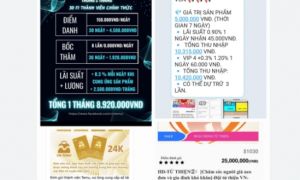 Công an tìm bị hại vụ lừa đảo hàng chục tỷ đồng liên quan App VN - Temu