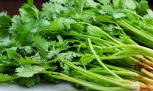 1 loại lá thơm bán nhiều ở chợ Việt: hạ đường huyết