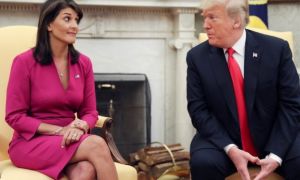 Báo Mỹ: Ông Trump cân nhắc chọn đối thủ cũ Haley làm