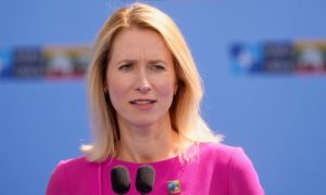 Estonia: Quân nhân NATO đã tới Ukraine để huấn luyện binh sĩ