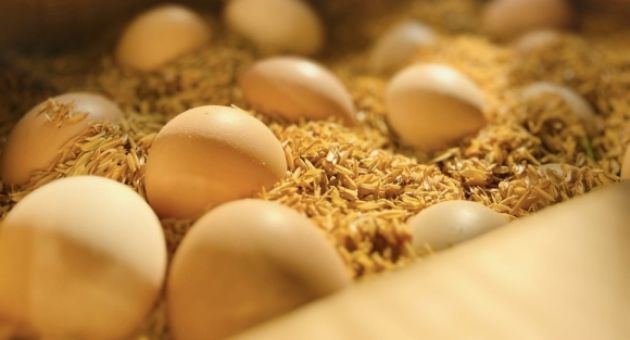 5 món bổ não nên ăn thường xuyên