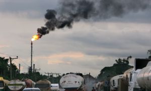 Bỉ, Hà Lan ngăn nhiên liệu 'chất lượng châu Phi'