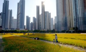 Người giàu ồ ạt di cư để né thuế và giữ của, nhiều nước cạnh tranh thu hút