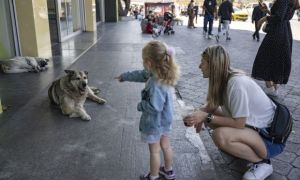 Thổ Nhĩ Kỳ tranh cãi về cách xử lý 4 triệu con chó hoang