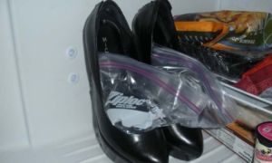 Cho giày vào ngăn đá tủ lạnh, nhận kết quả bất ngờ