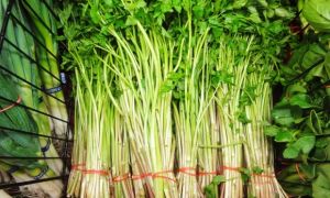 Loại rau khoái khẩu là