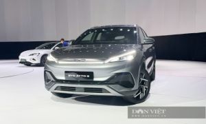 Ba mẫu xe điện Trung Quốc ra mắt thị trường Việt, mức giá bất ngờ