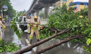 Hà Nội vắng lặng trước giờ bão số 3 ảnh hưởng, cây xanh gãy đổ la liệt
