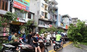 Người dân Hạ Long: Chưa từng thấy cảnh đổ nát như vậy 50 năm qua