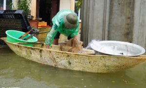 Nước ngập cao 1,2m, người Hà Nội bắt cá giữa đường, trên sân nhà