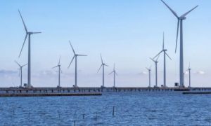 Vì sao các tập đoàn nước ngoài rút khỏi dự án điện gió ngoài khơi Việt Nam?