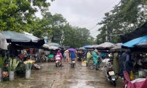 Cận cảnh chợ Hà Nội những ngày mưa lũ: Nguồn cung, giá cả ra sao?