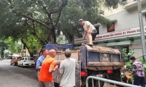 Khắc phục tình trạng cây xanh đổ ngổn ngang trên đường phố Hà Nội