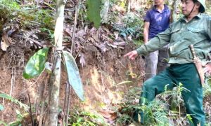 Phát hiện vết nứt lớn trên đồi, Lào Cai sơ tán hàng trăm người dân