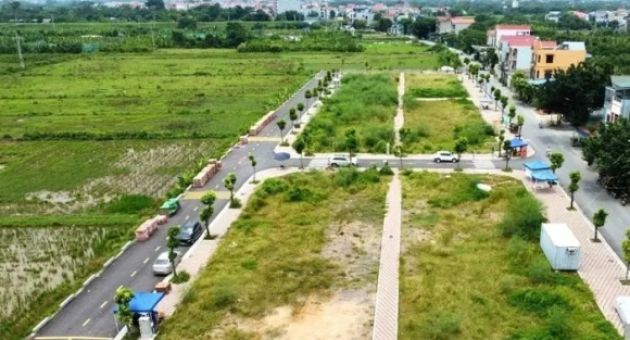 Hà Nội: Hơn 80% số lô đất trúng đấu giá huyện Thanh Oai 'bỏ cọc'