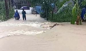 Ba mẹ con bị lũ cuốn