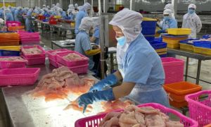 Bộ Thương mại Mỹ: Các công ty Việt Nam không chịu thuế chống bán phá giá cá tra