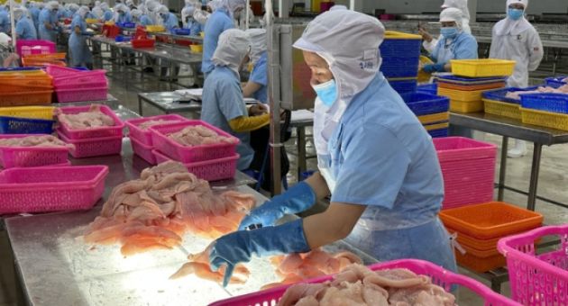 Bộ Thương mại Mỹ: Các công ty Việt Nam không chịu thuế chống bán phá giá cá tra