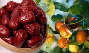 Bất ngờ loại quả ngọt thơm đang bán đầy chợ Việt, người bệnh tiểu đường ăn...