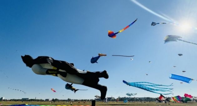 Mãn nhãn với những cánh diều khổng lồ trên bầu trời thủ đô của nước Đức