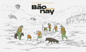 Tùy bút thân thương của một học sinh Hà Nội: Bão nay