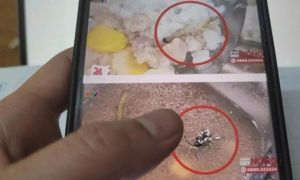 Sinh viên tố ăn cơm canh thừa, thức ăn có dị vật: ĐHBK Hà Nội xin lỗi