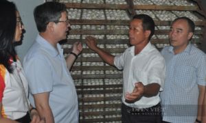 Giá điện tăng, người chăn nuôi vừa tái đàn sau lũ kêu trời