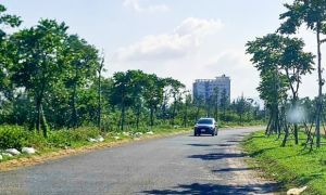 Hàng loạt cán bộ lãnh đạo liên quan đại án cây xanh tại Quảng Bình bị bắt