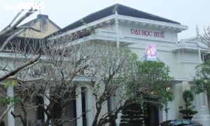 Trưởng phòng nghiên cứu khoa học ở Huế đạo 12 trang luận án tiến sĩ