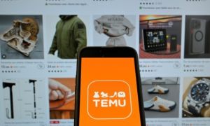 Temu tạm ngừng hoạt động ở Việt Nam, hàng hoá không được thông quan