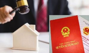 Vụ trả giá 30 tỉ đồng/m2 đất rồi bỏ: Xử nghiêm để răn đe chung